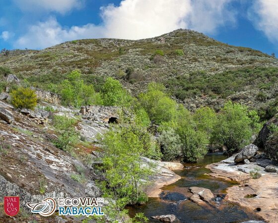 292537541_5650004811716532_7273895251806400492_n