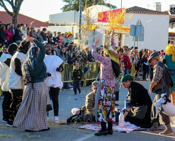 carnaval_vilarandelo__5_