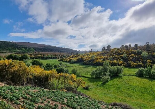 barragem_padrela_1_1024_2500_copiar