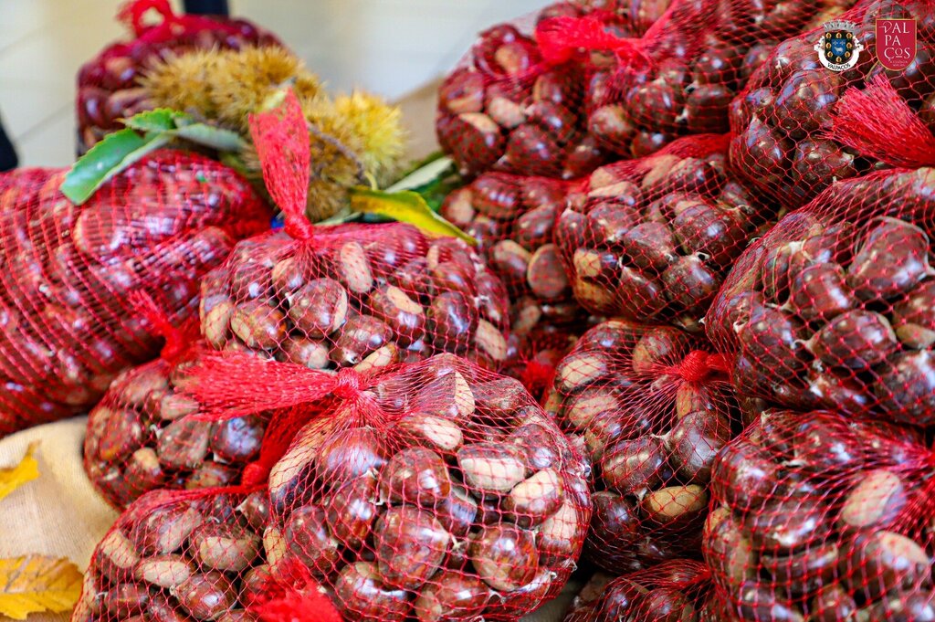 XXVII Feira da Castanha Judia de Carrazedo de Montenegro – De 8 a 10 de Novembro