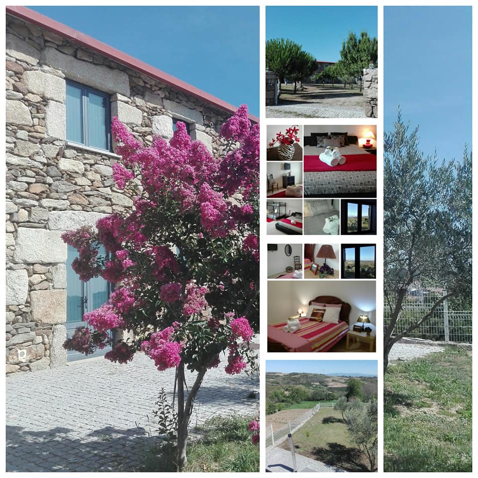 67417407_2266891590088088_933901524248035328_n